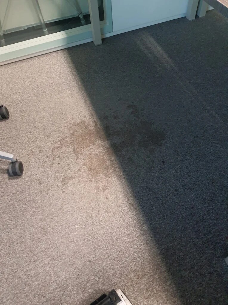 Moquette de bureau après nettoyage