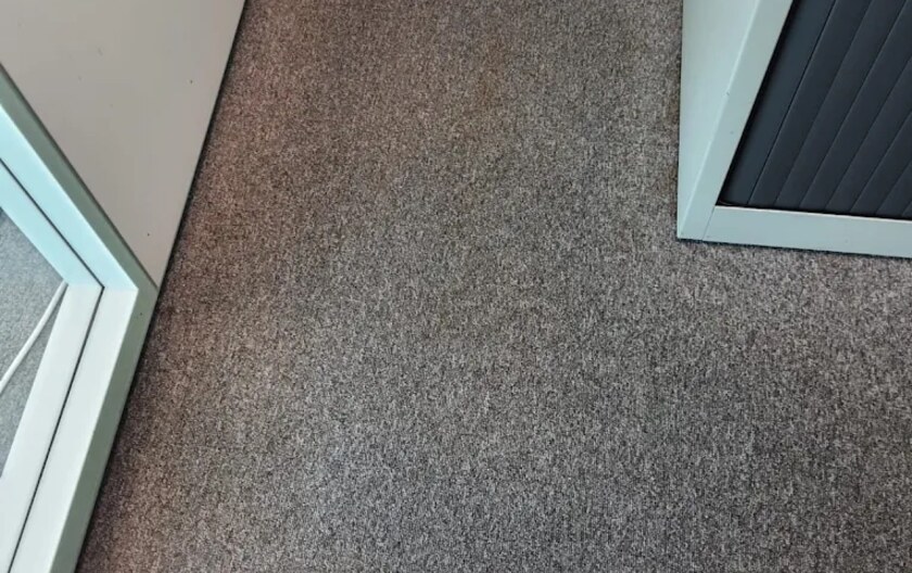 Moquette professionnelle après nettoyage à Noisy-le-Sec