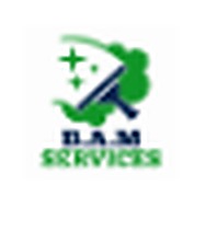 Logo B.A.M SERVICES